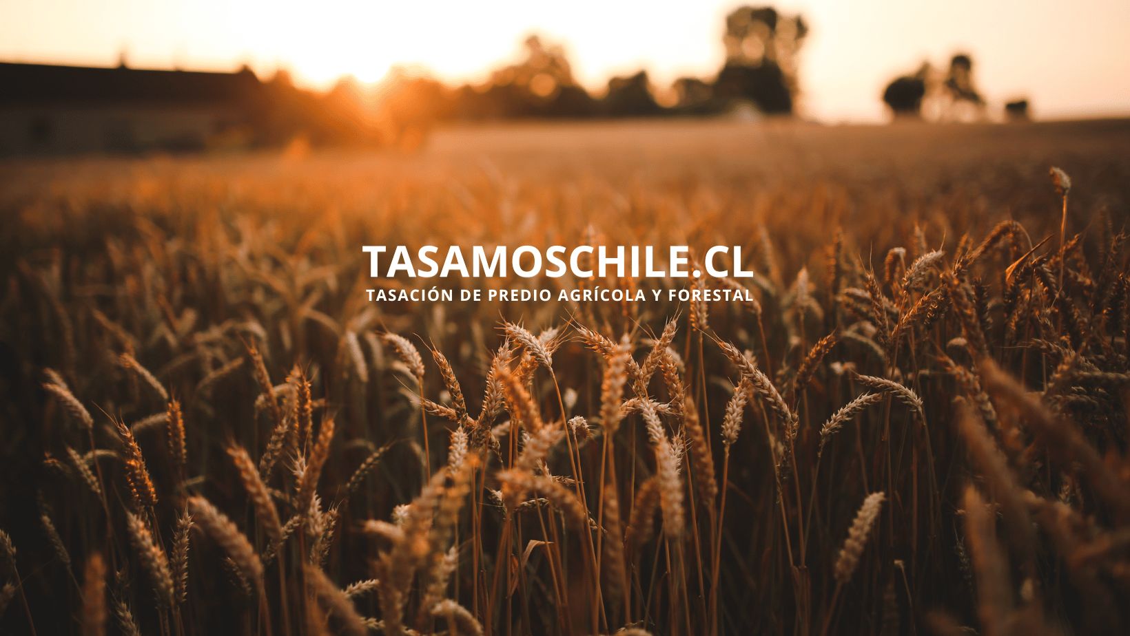 TASADOR AGRÍCOLA