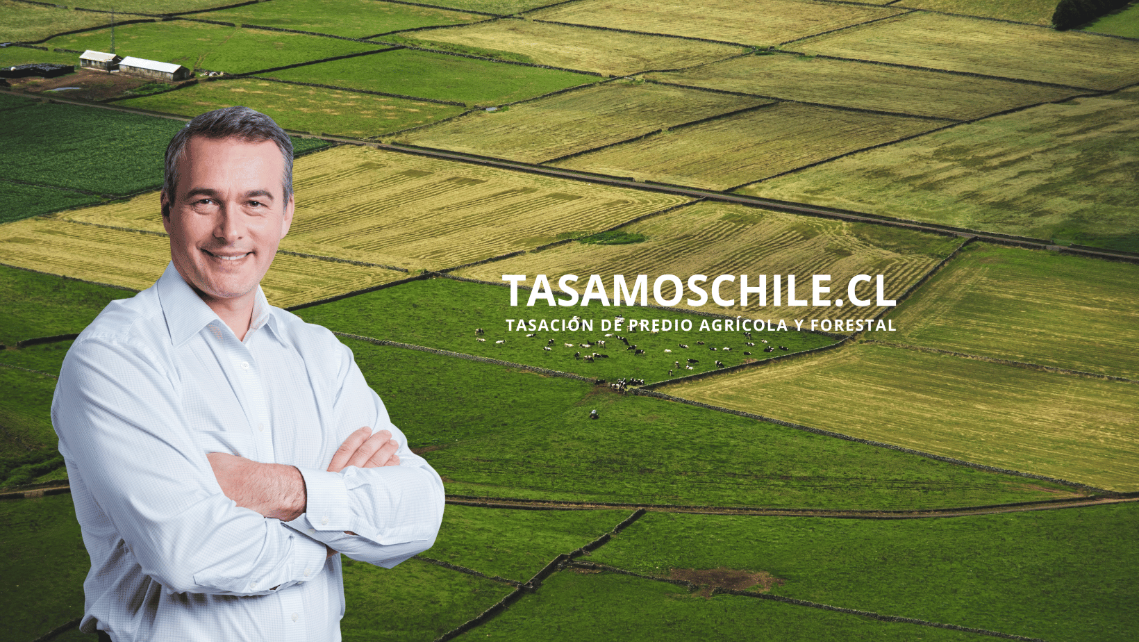 tasador agrícola