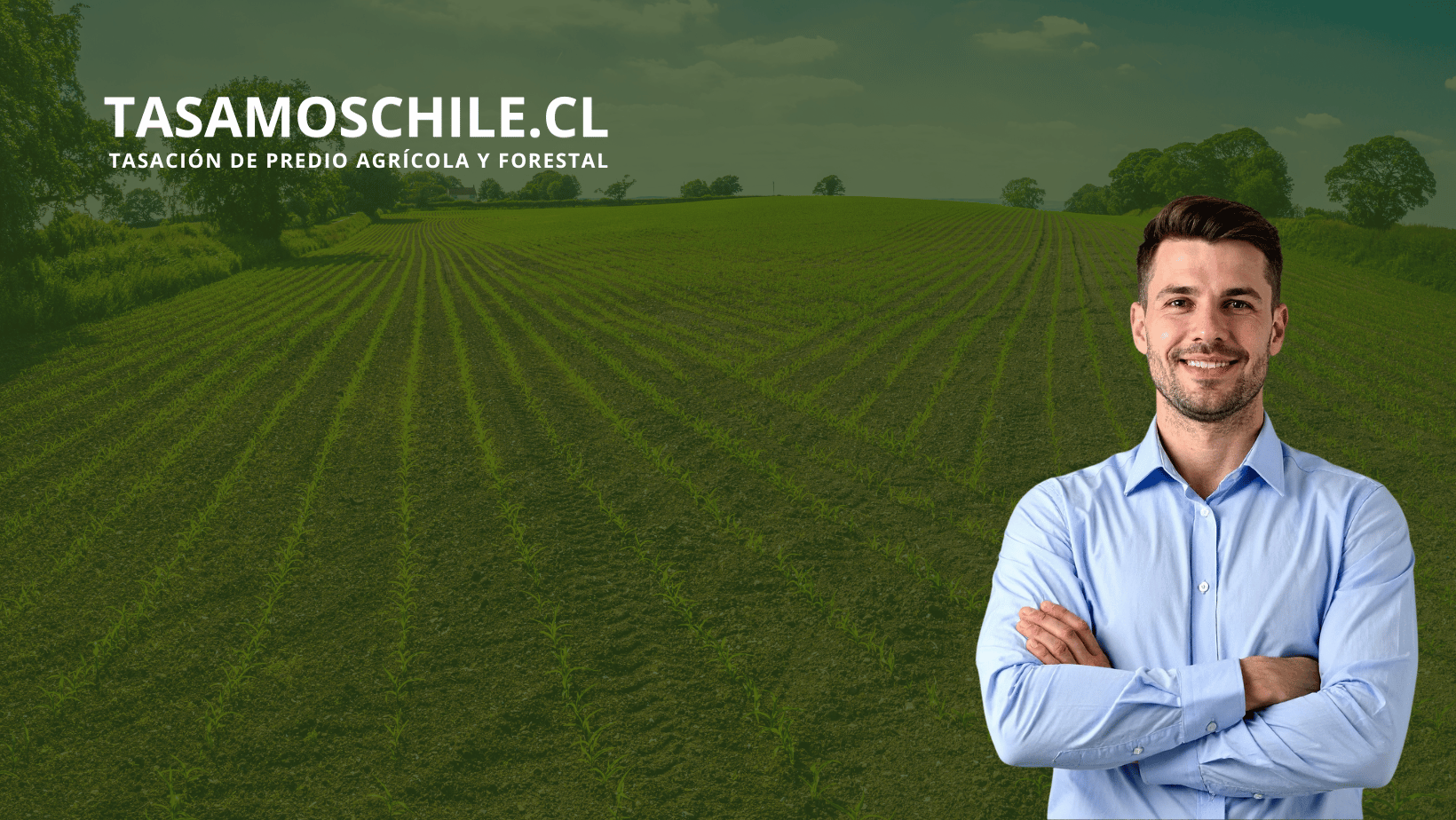 tasador agrícola tasador agrícola